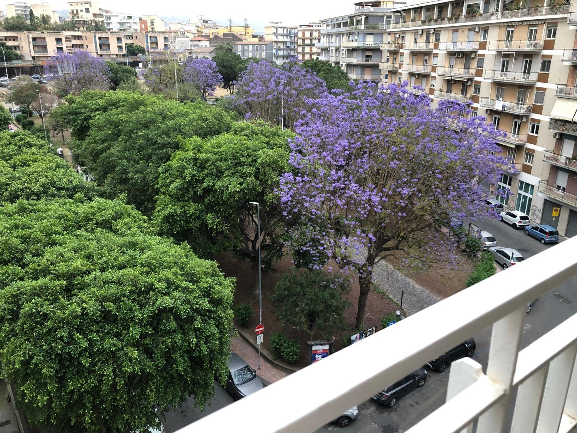 קטאניה La Maison Blanche מראה חיצוני תמונה